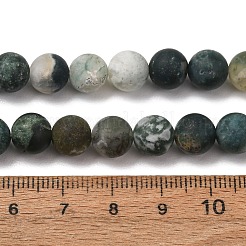 Natural Tree Agate Beads Strands&nbsp;G-T106-038