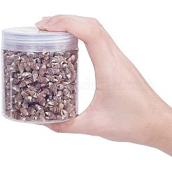 Sea Shell Beads&nbsp;SSHEL-PH0002-36