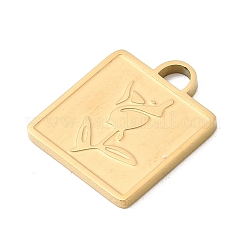 304 Stainless Steel Pendants&nbsp;STAS-Z179-18G