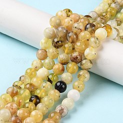 Natural Yellow Opal Beads Strands&nbsp;G-Q1001-A02-01