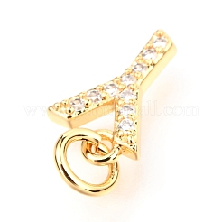 Brass Micro Pave Cubic Zirconia Charms&nbsp;ZIRC-O037-09G