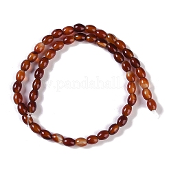 Natural Red Agate Beads Strands&nbsp;G-NH0011-I01-02