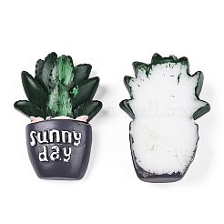 Opaque Resin Decoden Cabochons&nbsp;LS-AJEW-N001-01