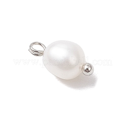 天然養殖淡水真珠ライスチャーム  真鍮ボールループ付き  乳白色  プラチナ  11~11.5x5.5~6mm  穴：1.7~2mm&nbsp;PALLOY-JF04187-01