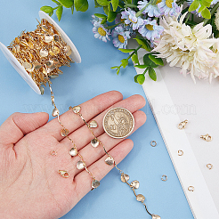 DIY Shell Charms Chain Bracelet Necklace Making Kit&nbsp;DIY-BBC0001-64