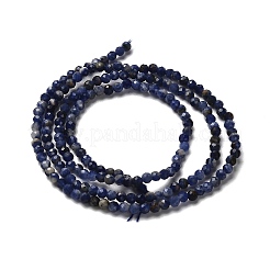 Natural Sodalite Beads Strands&nbsp;LS-G-RM2025-A19-2mm-B