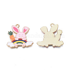 Alloy Enamel Pendants&nbsp;LS-ENAM-N055-096A
