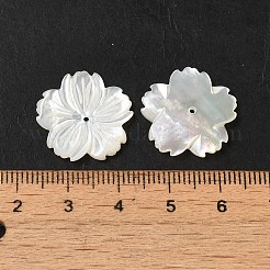 ナチュラルホワイトシェルビーズ  花  ホワイトスモーク  19x19x2mm  穴：0.5mm&nbsp;SHEL-M021-08A