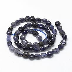 Natural Cordierite/Iolite/Dichroite Beads Strands&nbsp;G-R445-6x8-33