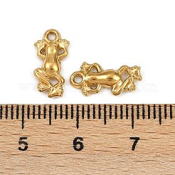 304 Stainless Steel Charms&nbsp;STAS-F317-12G