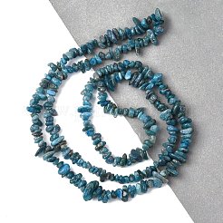 Natural Apatite Beads Strands&nbsp;X-G-F666-01B-02-01