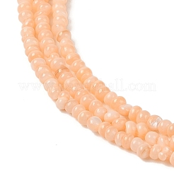 Natural Freshwater Shell Beads Strands&nbsp;SHEL-P017-01A-12