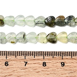 Natural Prehnite Beads Strands&nbsp;G-P575-C19-6mm