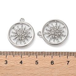 Rack Plating Alloy Pendants&nbsp;FIND-M038-10P