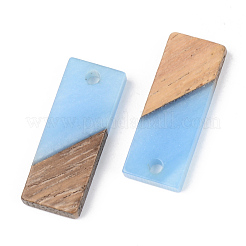 Resin & Walnut Wood Pendants&nbsp;RESI-S389-059A-C01