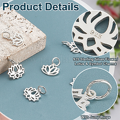 6Pcs 3 Styles 925 Sterling Silver Charms&nbsp;STER-PH0002-86