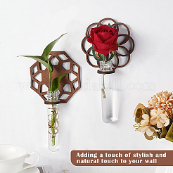 2 Sets 2 Styles Wall Hanging Terrarium Planter with Plastic Tube&nbsp;ODIS-GA0001-53C