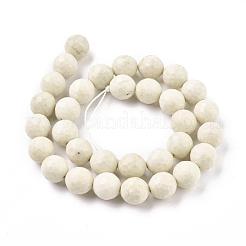 Natural Fossil Round Bead Strands&nbsp;G-O151-02-12mm