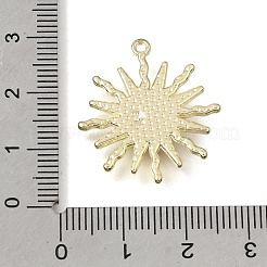 Brass Resin Pendants&nbsp;RE-CBAE379-11LG