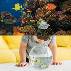 プラスチック人工熱帯魚のおもちゃ  海の動物のおもちゃの盛り合わせ  子供用  ミックスカラー  29.2~55x53~65x6.2~11mm&nbsp;AJEW-WH0021-19