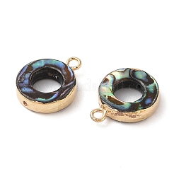 天然パウアシェルペンダント  真鍮の縁取りのリングチャーム  ゴールドカラー  16.5x13x3.5mm  穴：1.8mm&nbsp;SHEL-P017-18G