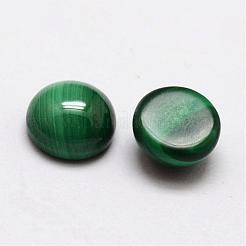 Dome Natural Malachite Cabochons&nbsp;G-O146-03B