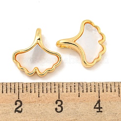 天然貝と真鍮の銀杏の葉のチャーム  18KGP本金メッキ  13x12.5x4mm  穴：2.5x2mm&nbsp;KK-P275-06G