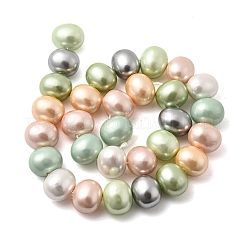 Shell Pearl Beads Strands&nbsp;BSHE-F013-01H