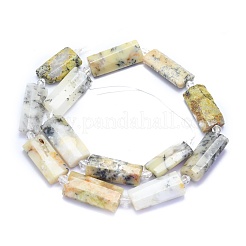 Natural White African Opal Beads Strands&nbsp;G-E530-16F