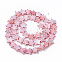 Freshwater Shell Beads Strands&nbsp;SHEL-T014-009F