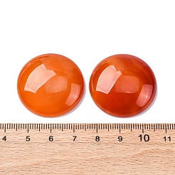 Natural Agate Cabochons&nbsp;G-K348-08B-02