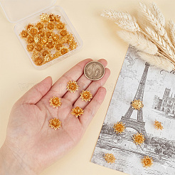 40Pcs Brass Bead Caps&nbsp;KK-PH0015-25G