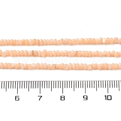 Natural Freshwater Shell Beads Strands&nbsp;SHEL-P017-01A-12