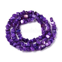 天然淡水シェルビーズ連売り  ナゲット  染め  暗紫色  0.5~8x3~7x3~7mm  穴：1mm  約86~108個/連  14.76~15.16インチ（37.5~38.5cm）&nbsp;SHEL-N037-04H