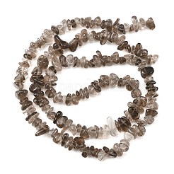 天然石スモーキークォーツビーズ連売り  チップ  6~14x3~8x3~8mm  穴：1mm  29.92''（76センチメートル）&nbsp;G-P622-A01-01