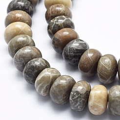 Natural Fossil Coral Beads Strands&nbsp;G-K256-10D