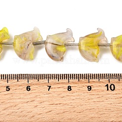 Handmade Lampwork Beads Strands&nbsp;LAMP-G167-01