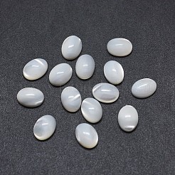 シェルカボション  オーバル  ホワイト  8x6x2~4mm&nbsp;X-SSHEL-E567-25D