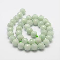 Natural Myanmar Jade/Burmese Jade Beads Strands&nbsp;G-F306-13-10mm