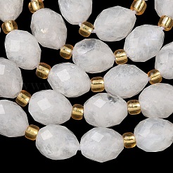Natural Rainbow Moonstone Beads Strands&nbsp;G-F809-A03-01