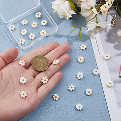 24Pcs 2 Styles Natural Freshwater Shell Beads&nbsp;SHEL-HS0001-05
