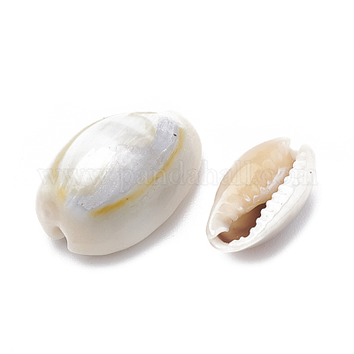 Cowrie Shell Beads&nbsp;SSHEL-T004-05-1