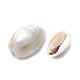 Cowrie Shell Beads&nbsp;SSHEL-T004-05-2