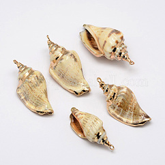 金メッキホラ貝ペンダント  26~52x13~23x15~17mm  穴：2mm
