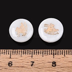 Natural Freshwater Shell Beads&nbsp;SHEL-N037-02I-G