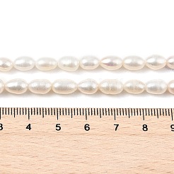 天然養殖淡水パールビーズ連売り  ライス  グレード3a++  古いレース  5~6mm  穴：0.7mm  約44~49個/連  13.78~13.98''（35~35.5センチメートル）&nbsp;PEAR-I007-01B-01B