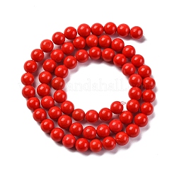 Synthetic Turquoise Beads Strands&nbsp;G-L605-G01-01B