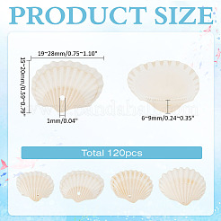 120Pcs Natural Clam Shell Pendants&nbsp;SSHEL-ME0001-02