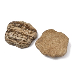 Natural Picture Jasper Carved Cabochons&nbsp;G-I395-A01