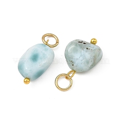 Natural Larimar Pendants&nbsp;PALLOY-JF05952